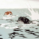 Illustration for article titled The 23 Most Tragic Pets in Science Fiction, Fantasy, and Horror